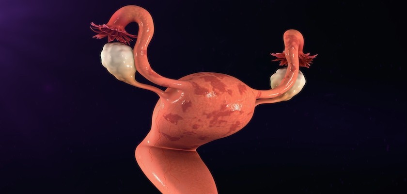 Endometrijum