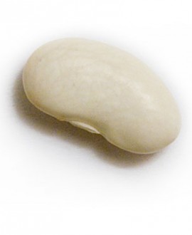 8. nedelja trudnoće