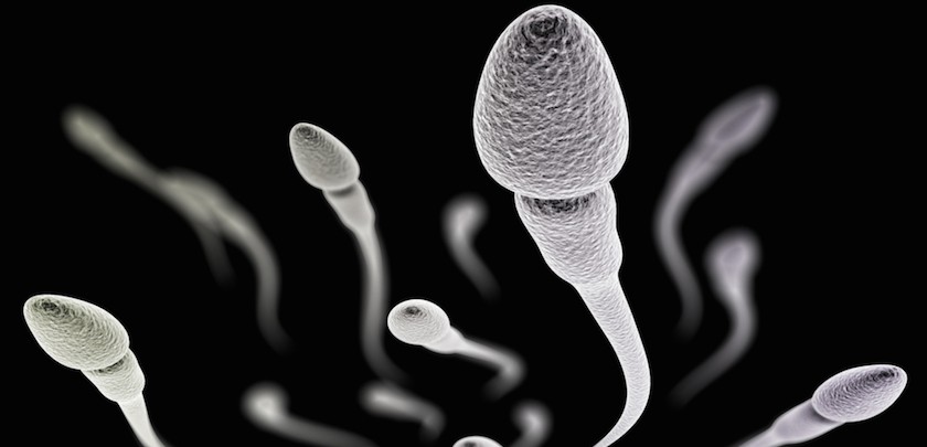 Intrauterinska inseminacija (IUI) - kada se i za&scaron;to preporučuje?