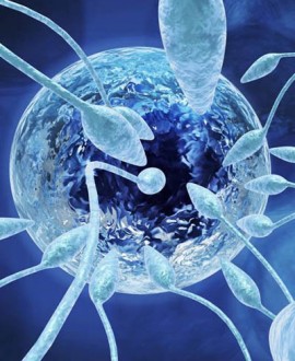 Intrauterinska inseminacija (IUI) - kada se i za&scaron;to preporučuje?