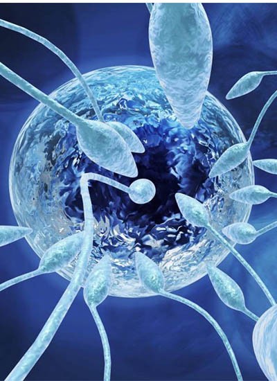 Intrauterinska inseminacija (IUI) - kada se i za&scaron;to preporučuje?