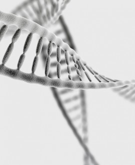 Neinvazivni prenatalni test ili amniocenteza?