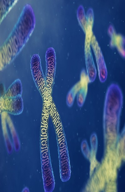 Neinvazivni prenatalni test