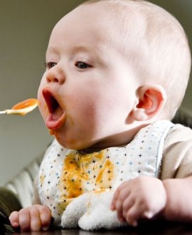  Jelovnik za bebe po mesecima